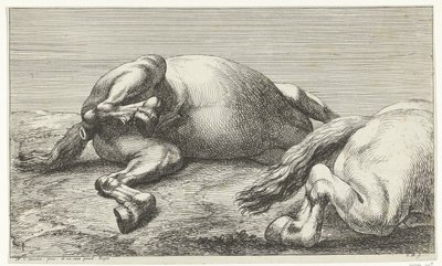 Two Horses Killed in Action Seen from the Left by Jan van Huchtenburgh  